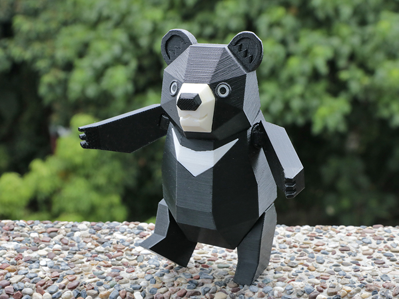 Formosan Black Bear