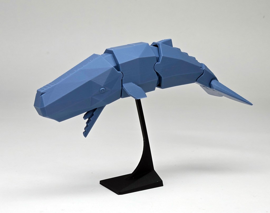 Sperm whale (Poseable&nbsp;model)